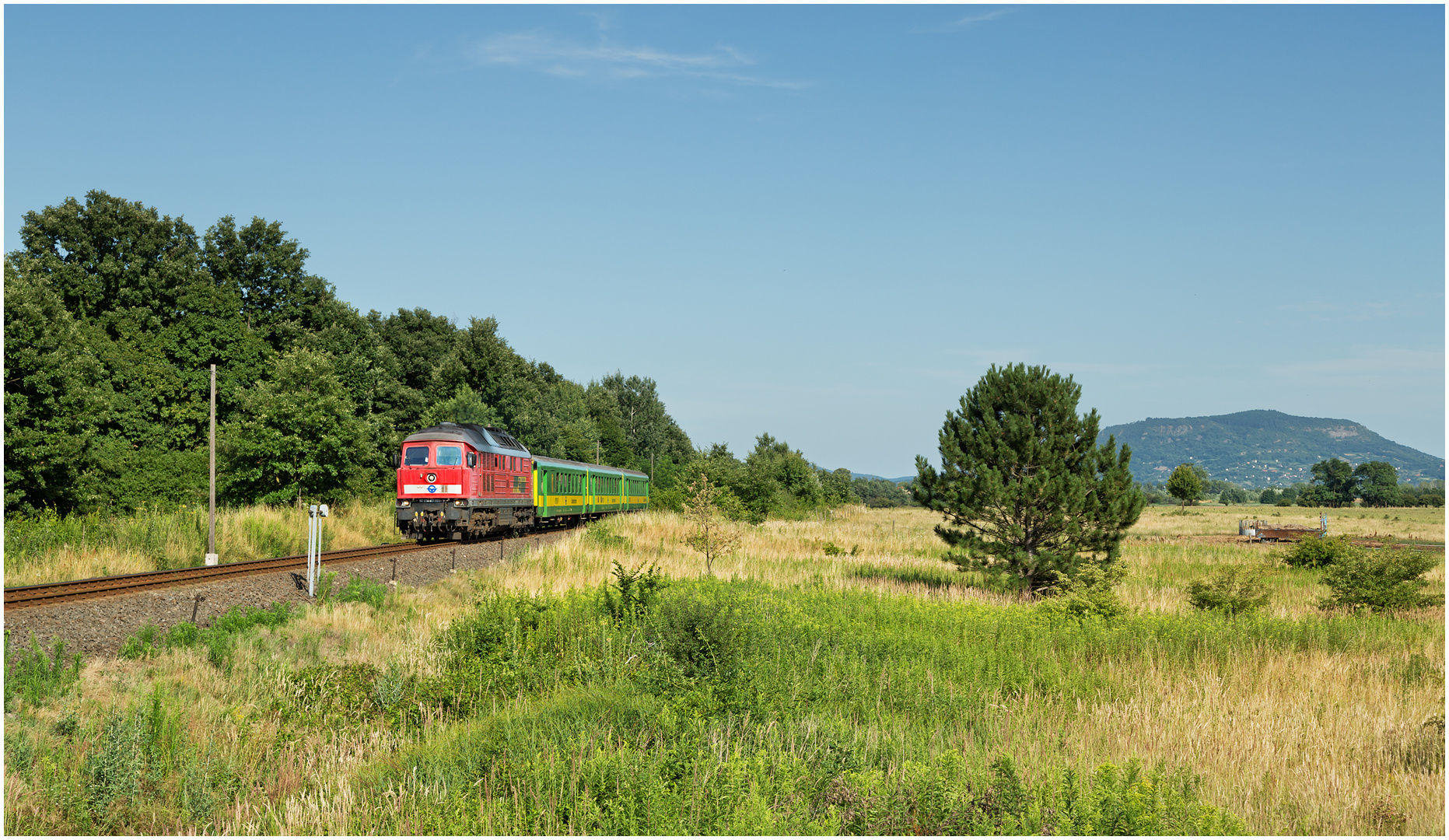  Mit dem Schnellzug durch die Hecke DCCCLII