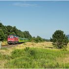  Mit dem Schnellzug durch die Hecke DCCCLII