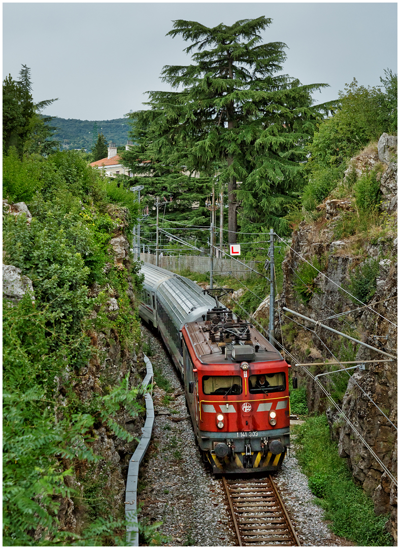 Mit dem Schnellzug durch die Hecke DCCCLVI