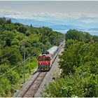 Mit dem Schnellzug durch die Hecke DCCCLXII