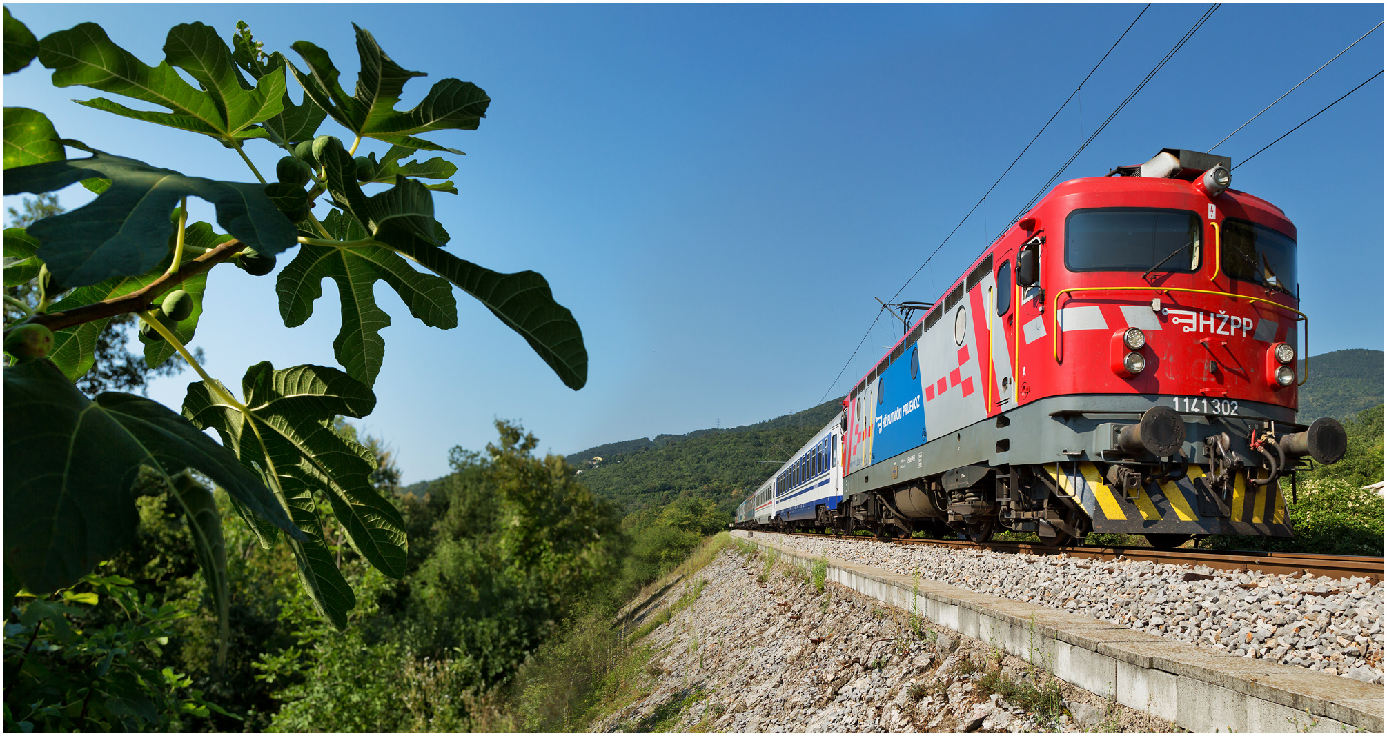 Mit dem Schnellzug durch die Hecke DCCCLXXVIII