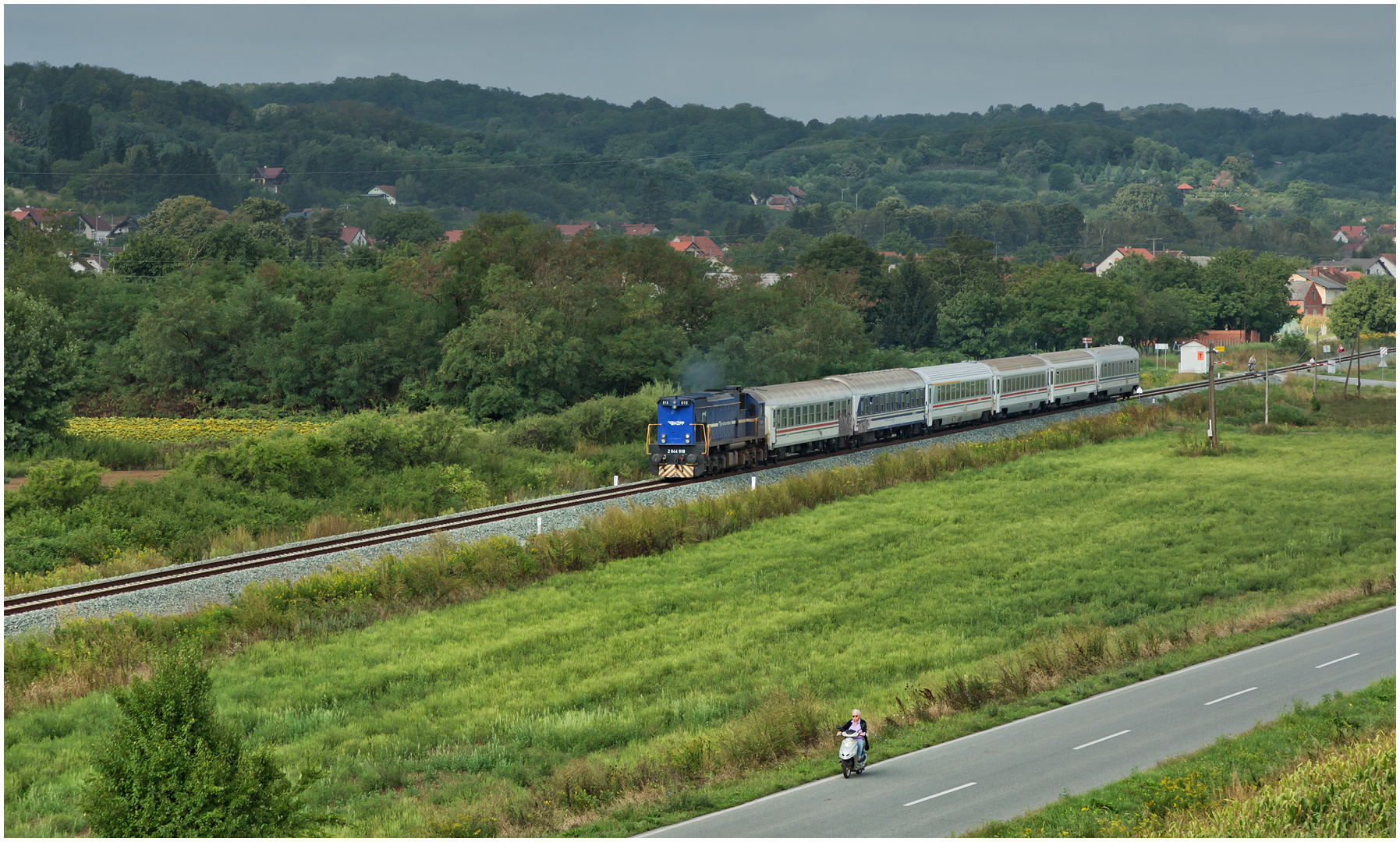 Mit dem Schnellzug durch die Hecke DCCCLXXXIV