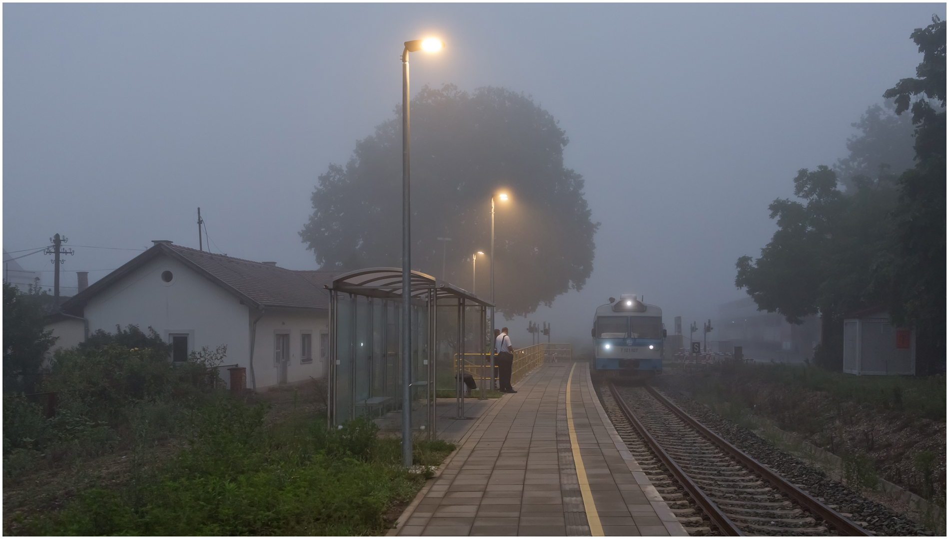 Mit dem Schnellzug durch die Hecke DCCCXCII