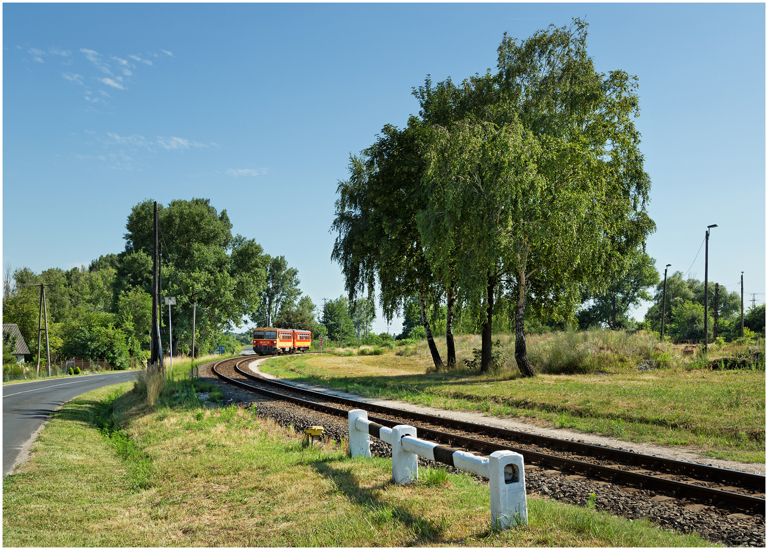 Mit dem Schnellzug durch die Hecke DCCCXLV