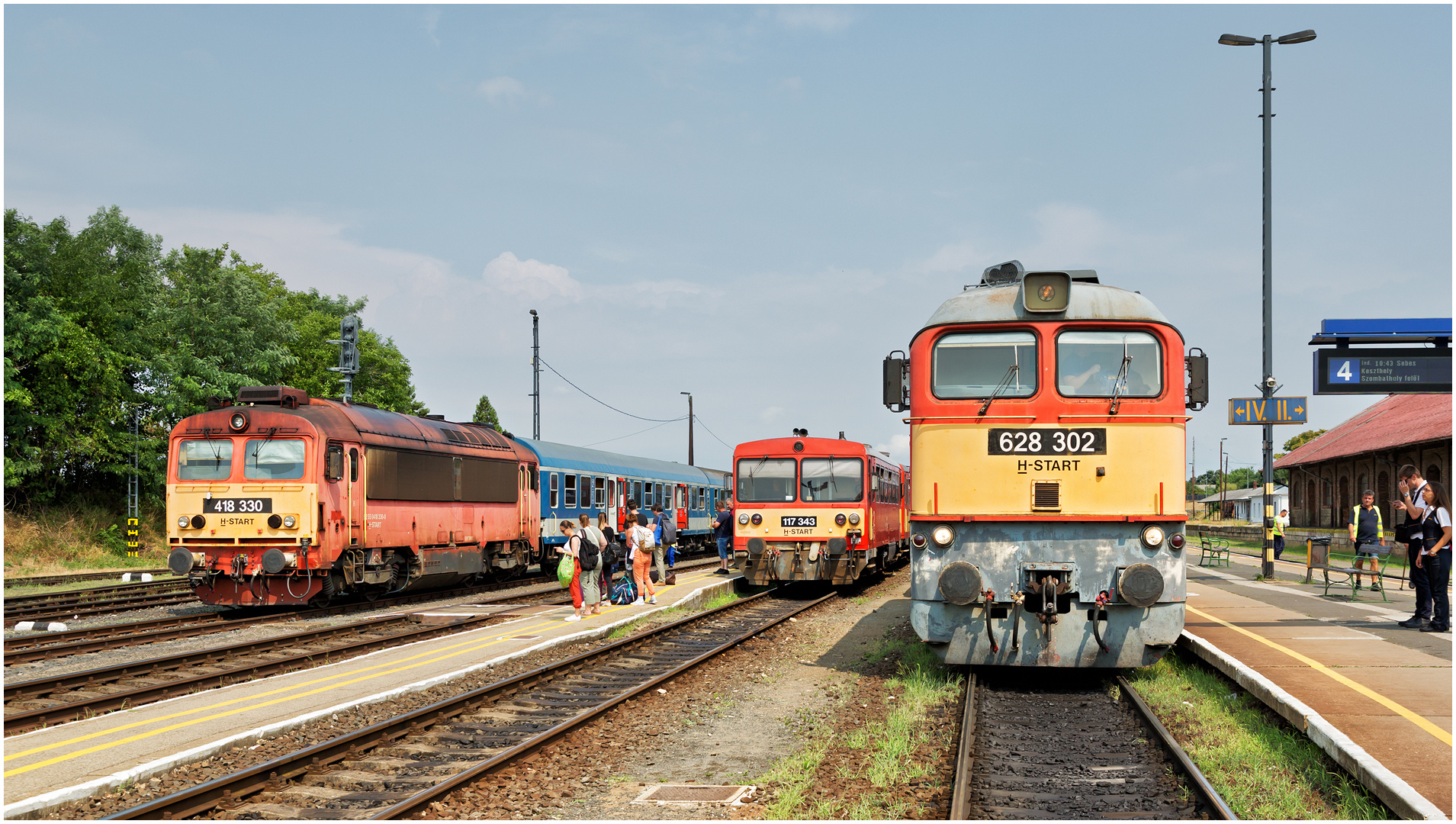 Mit dem Schnellzug durch die Hecke DCCCXXXVII