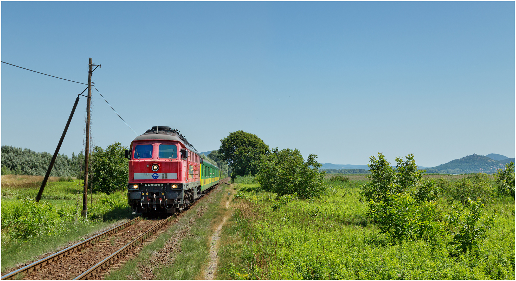 Mit dem Schnellzug durch die Hecke DCCCXXXVIII