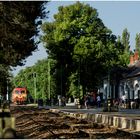 Mit dem Schnellzug durch die Hecke DCCLVI