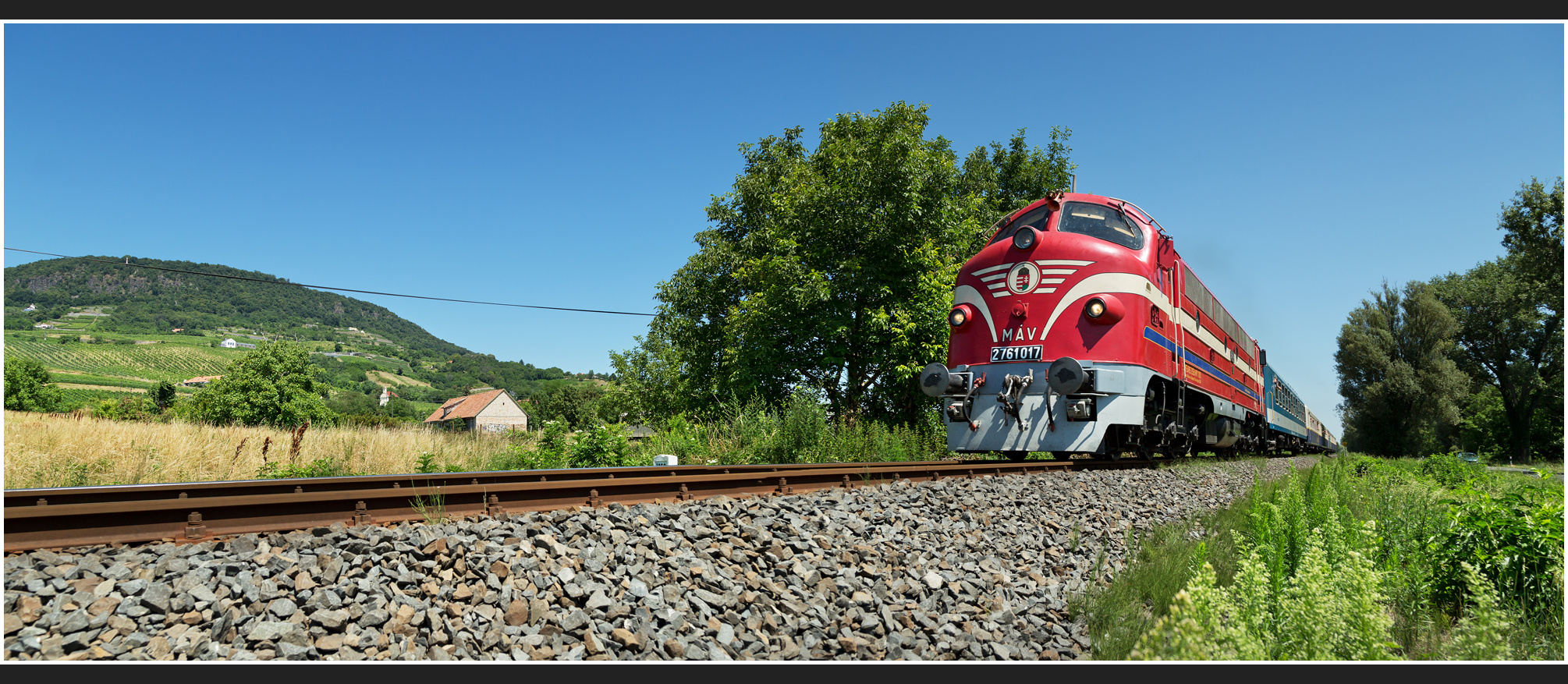 Mit dem Schnellzug durch die Hecke DCCLXXIV