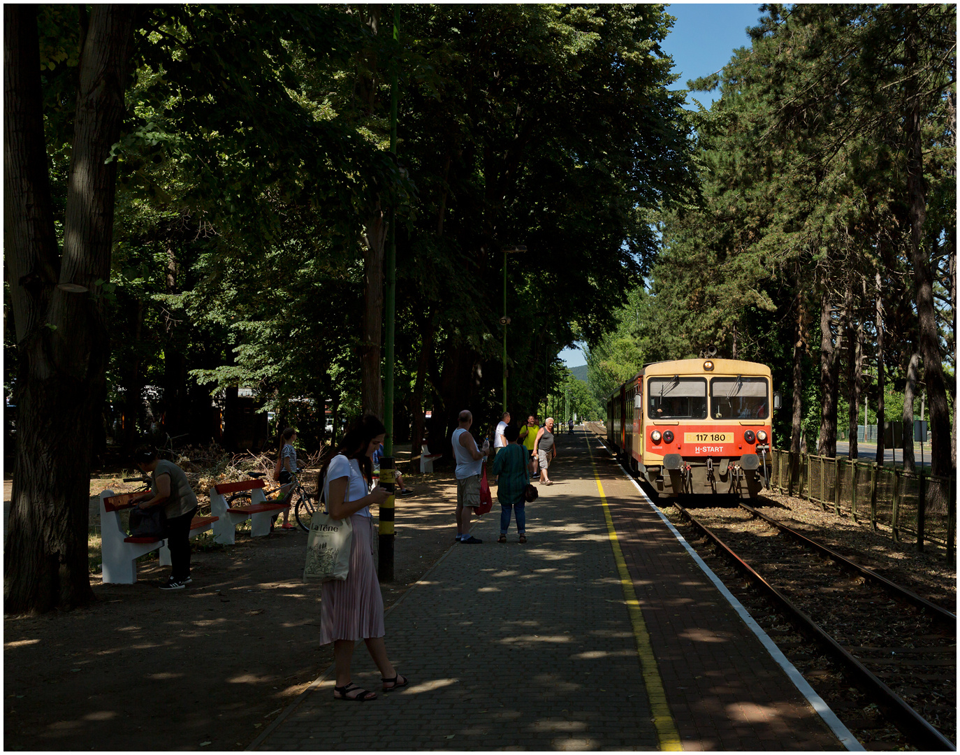 Mit dem Schnellzug durch die Hecke DCCLXXV