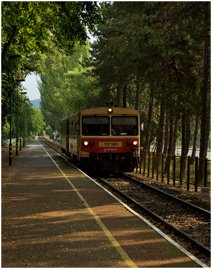 Mit dem Schnellzug durch die Hecke DCCXCIII