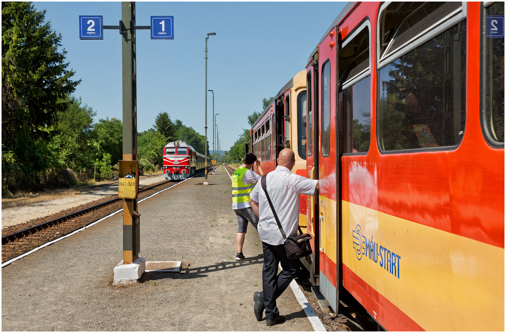 Mit dem Schnellzug durch die Hecke DCCXCVII