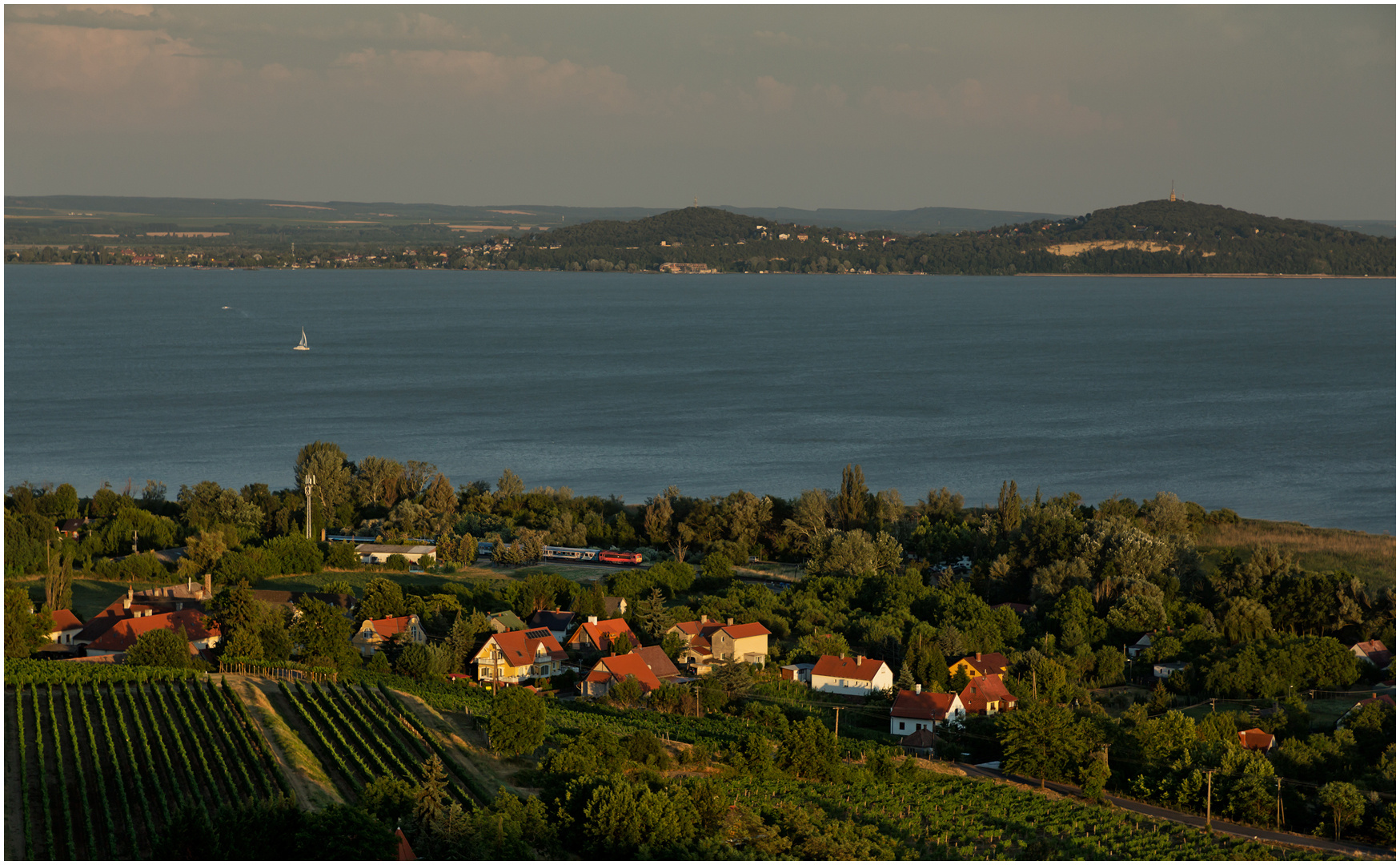 Mit dem Schnellzug durch die Hecke DCCXCVIII