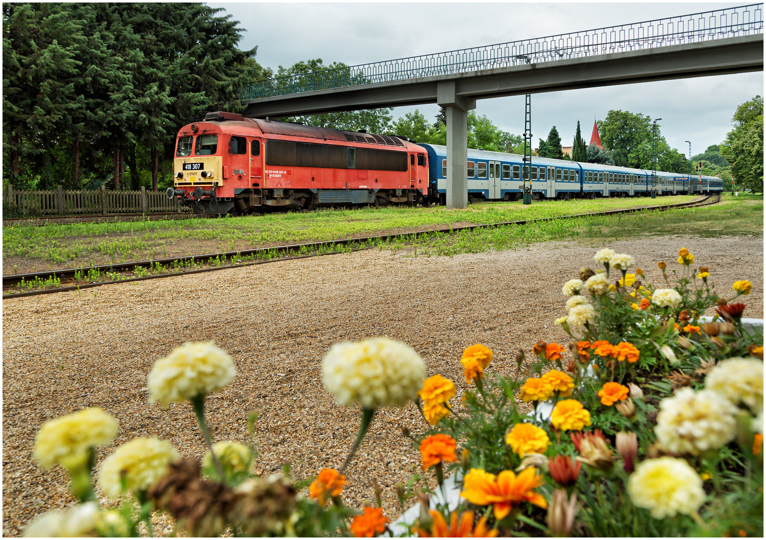 Mit dem Schnellzug durch die Hecke DCCXL