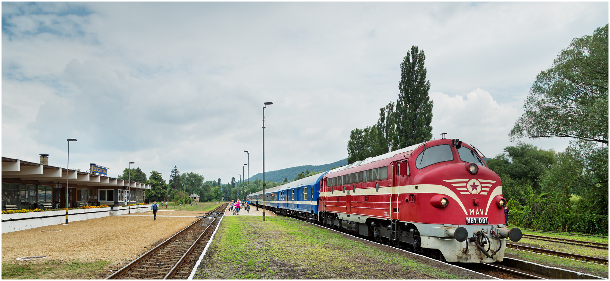 Mit dem Schnellzug durch die Hecke DCCXLII