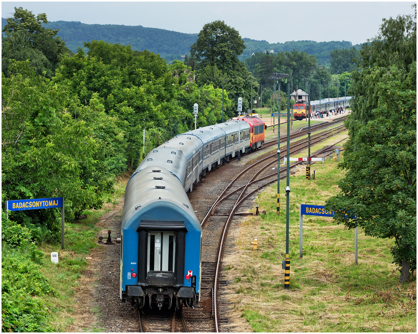 Mit dem Schnellzug durch die Hecke DCCXLIII