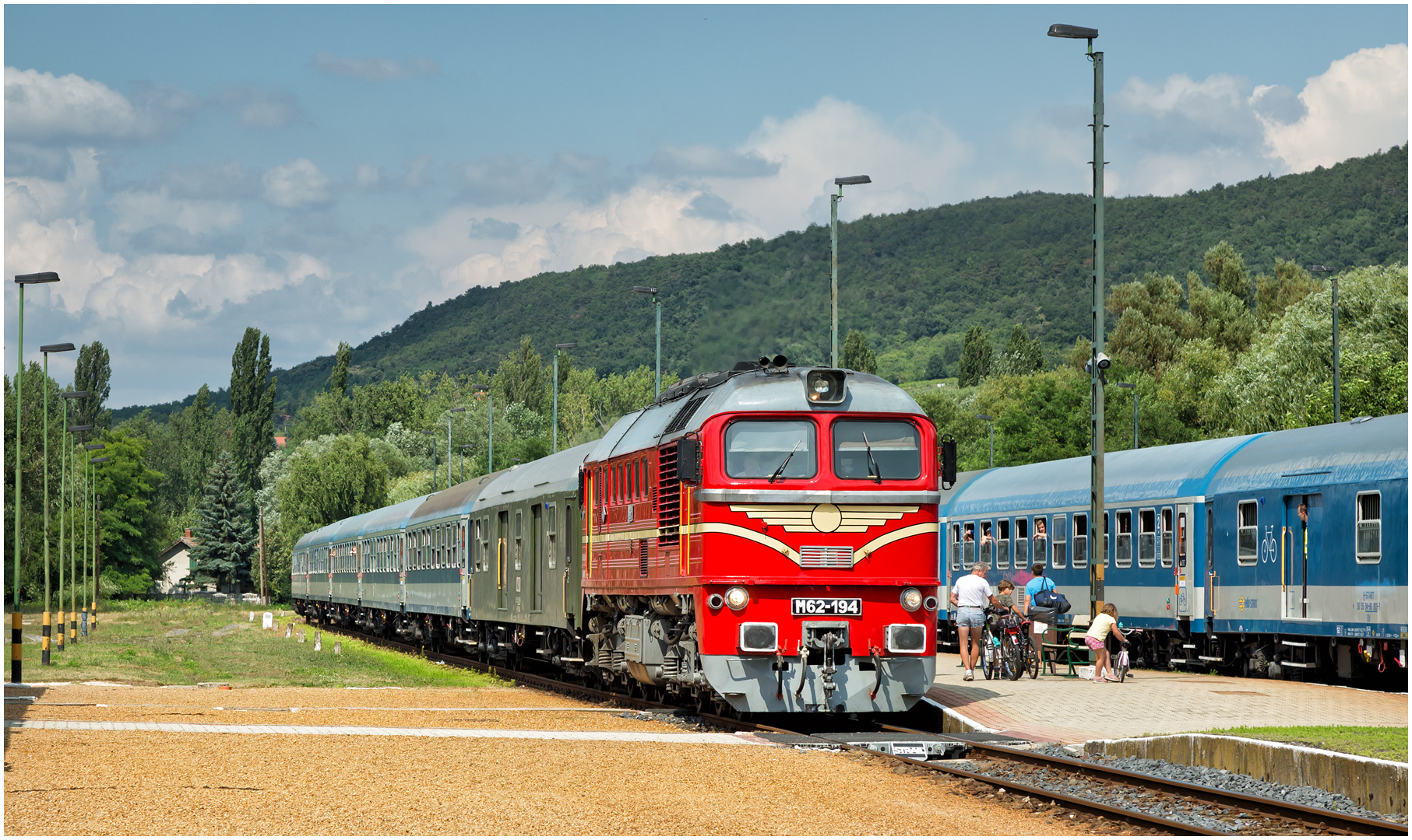 Mit dem Schnellzug durch die Hecke DCCXLVIII