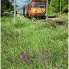 Mit dem Schnellzug durch die Hecke DCCXXI