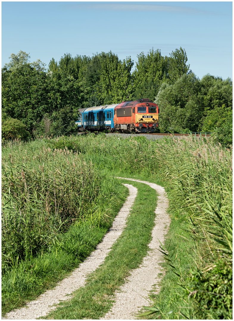 Mit dem Schnellzug durch die Hecke DCCXXV