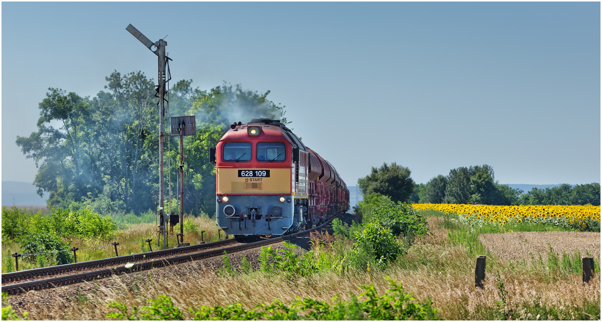 Mit dem Schnellzug durch die Hecke DCLXXIV