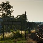 Mit dem Schnellzug durch die Hecke DCXC