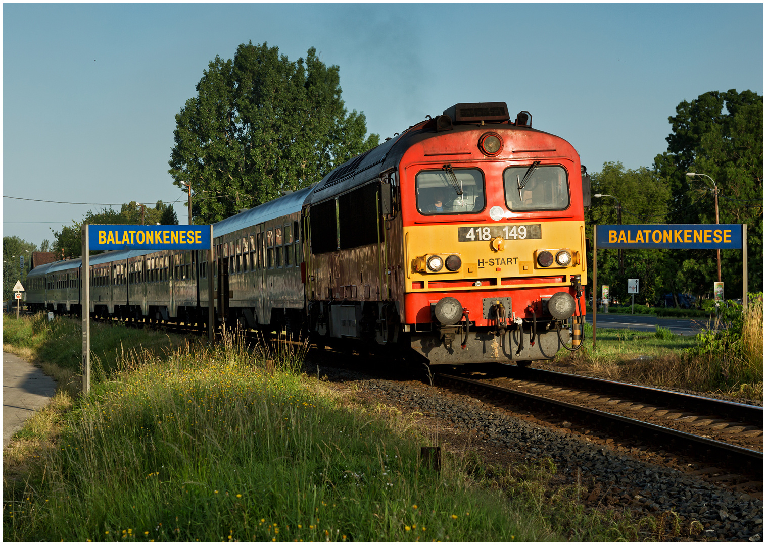 Mit dem Schnellzug durch die Hecke DCXCI