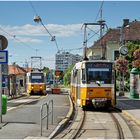 Mit dem Schnellzug durch die Hecke DCXLVIII