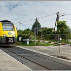 Mit dem Schnellzug durch die Hecke DIV