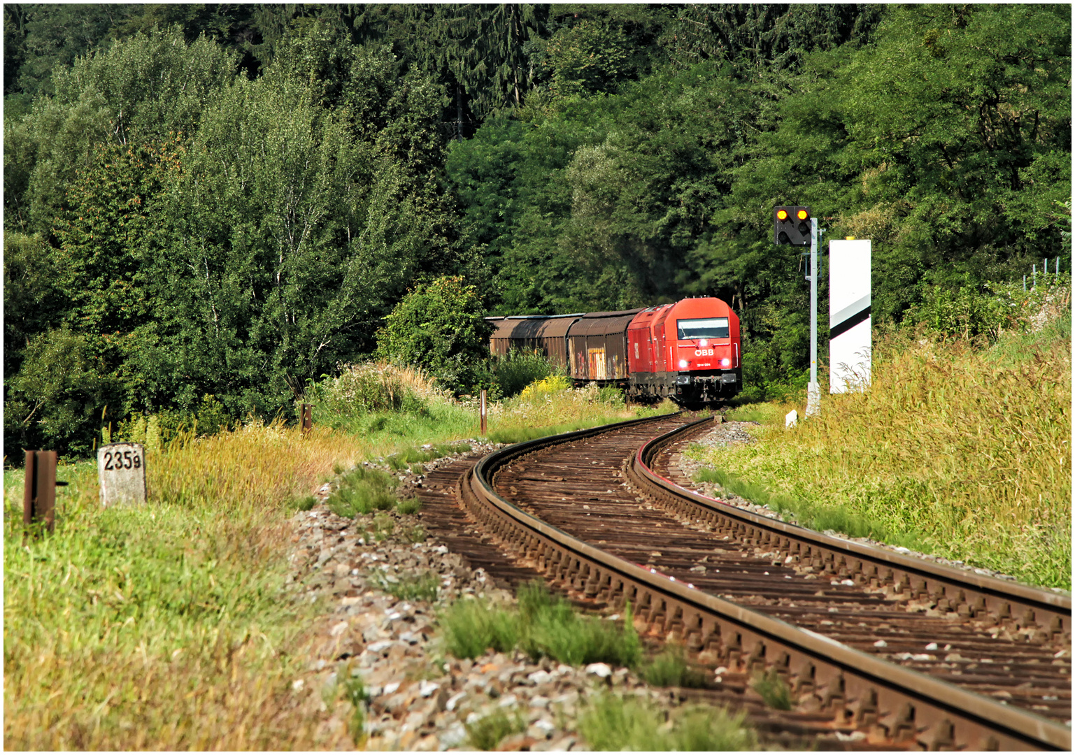 Mit dem Schnellzug durch die Hecke DLII