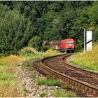 Mit dem Schnellzug durch die Hecke DLII