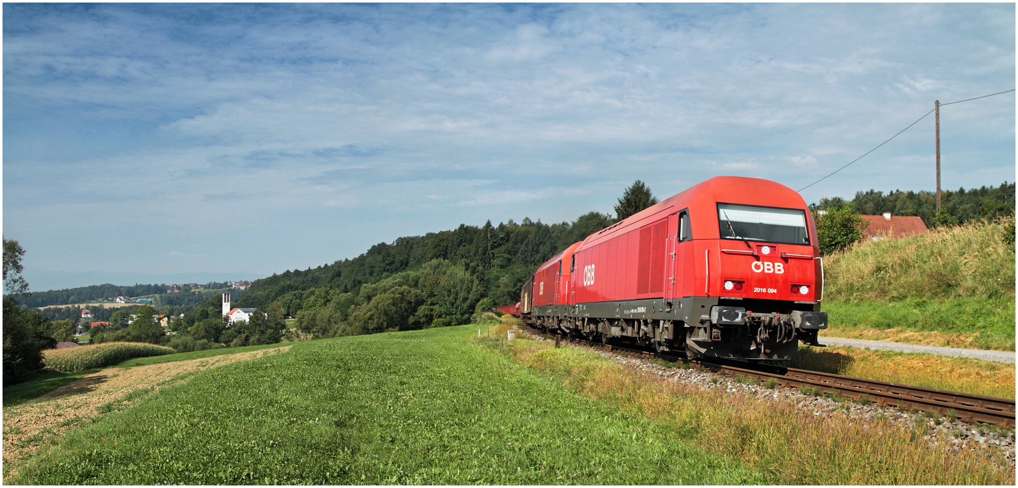 Mit dem Schnellzug durch die Hecke DLVI