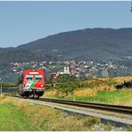 Mit dem Schnellzug durch die Hecke DLXIV