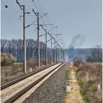 Mit dem Schnellzug durch die Hecke DLXV