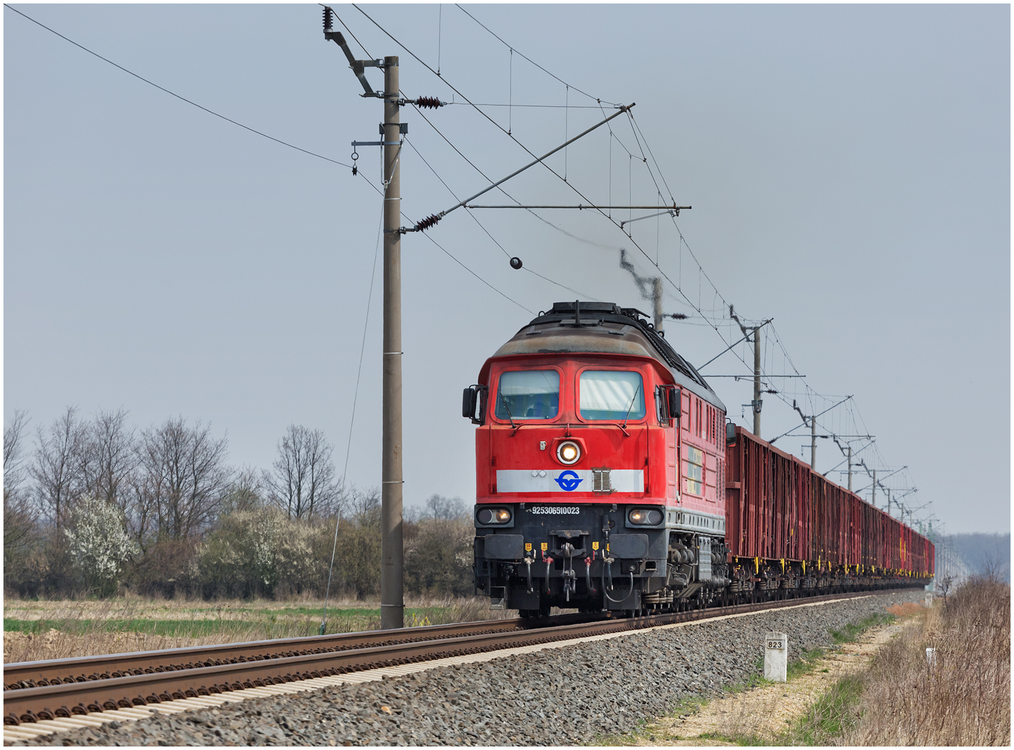 Mit dem Schnellzug durch die Hecke DLXVIII