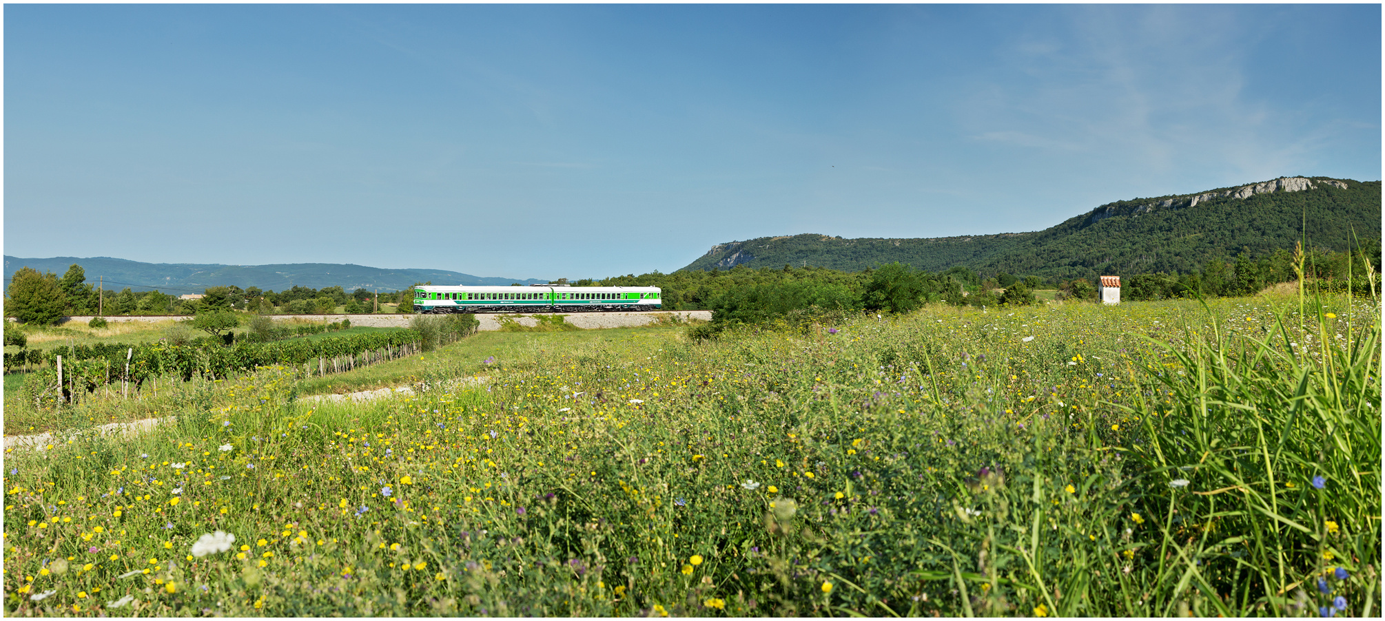 Mit dem Schnellzug durch die Hecke DVIII