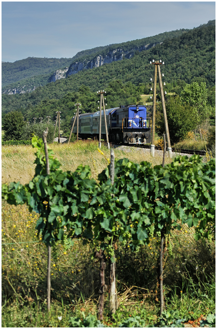 Mit dem Schnellzug durch die Hecke DXXI