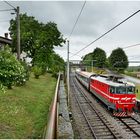 Mit dem Schnellzug durch die Hecke DXXXIX