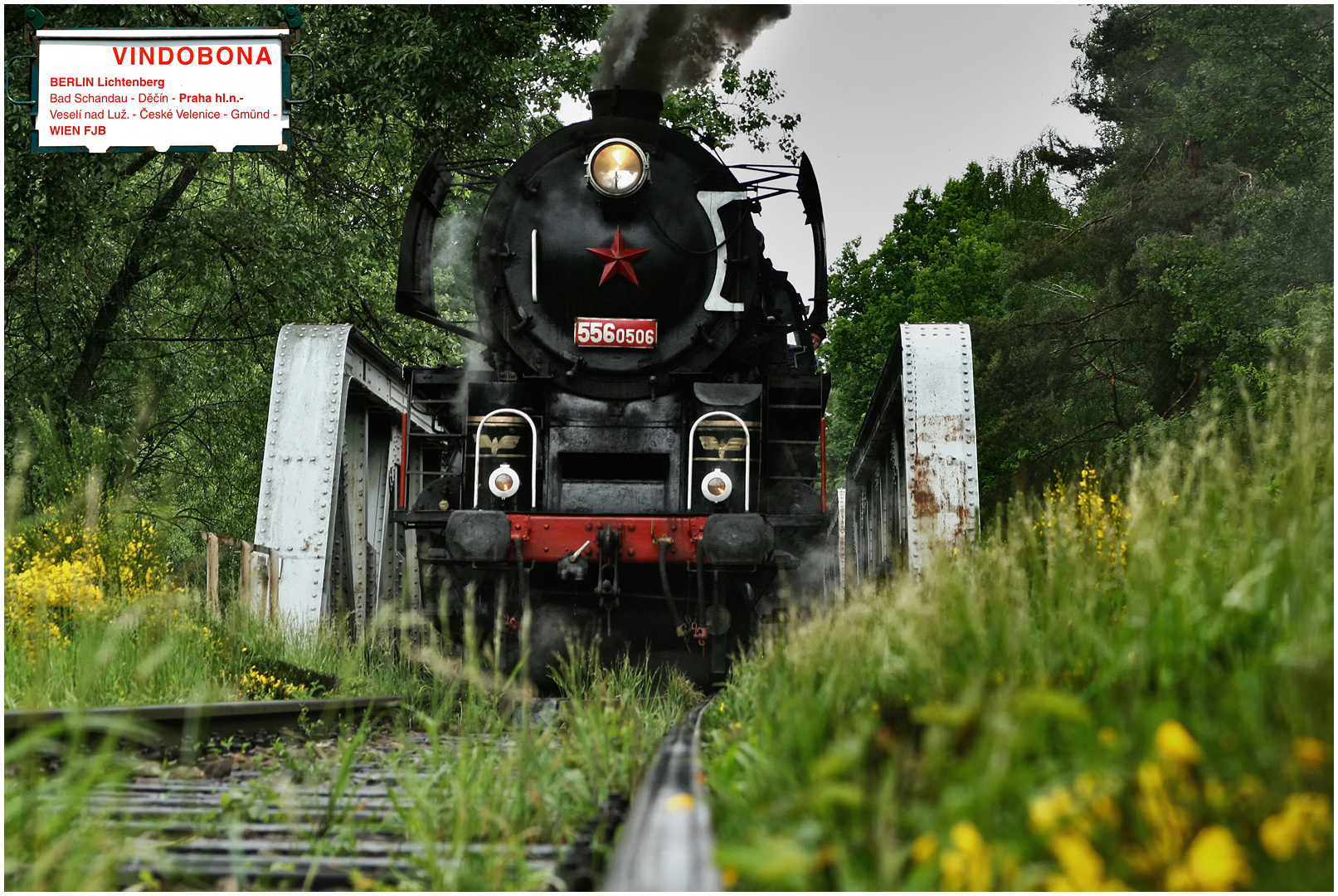 Mit dem Schnellzug durch die Hecke I