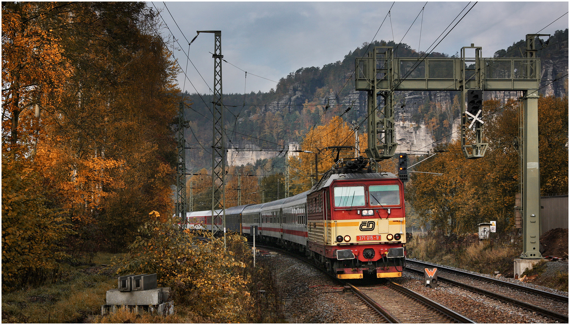 Mit dem Schnellzug durch die Hecke LXXVIII