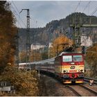 Mit dem Schnellzug durch die Hecke LXXVIII