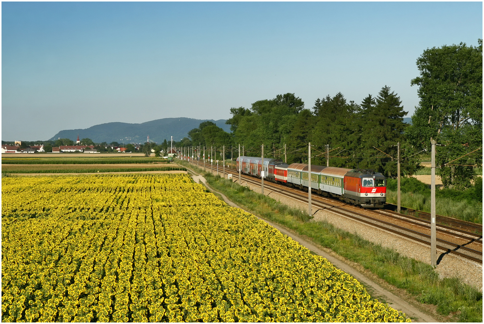 Mit dem Schnellzug durch die Hecke LXXXVI