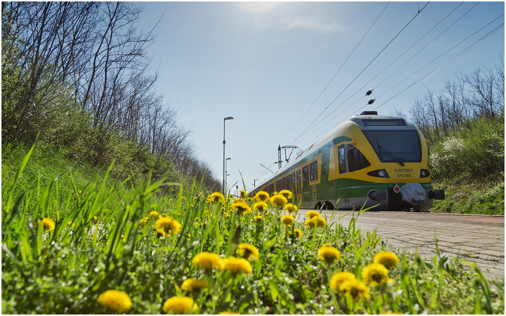 Mit dem Schnellzug durch die Hecke XCI