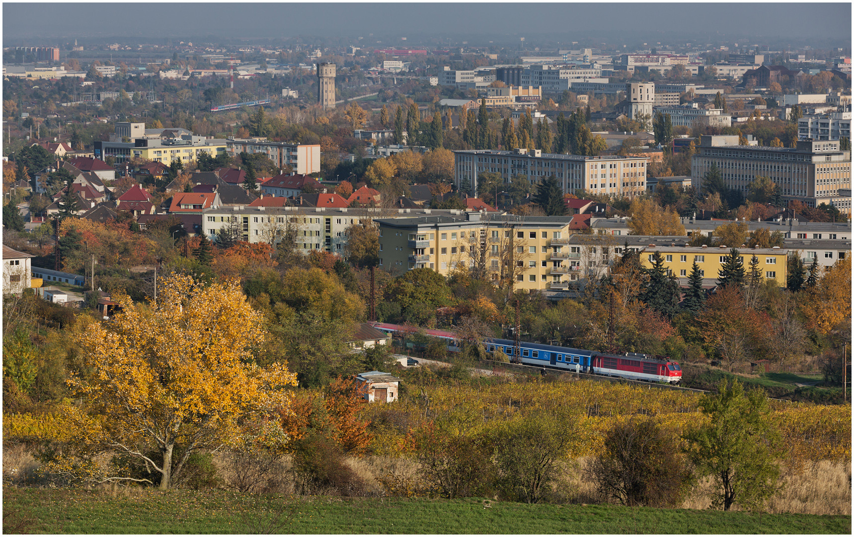 Mit dem Schnellzug durch die Hecke XCVII