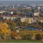 Mit dem Schnellzug durch die Hecke XCVII