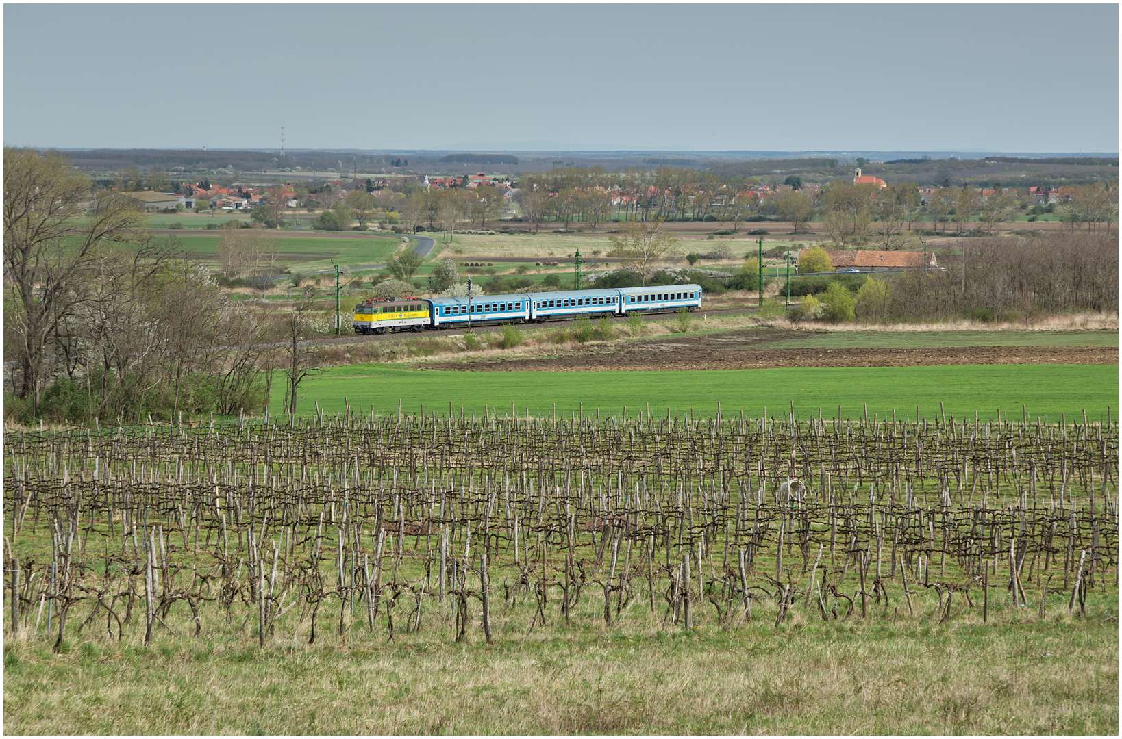 Mit dem Schnellzug durch die Hecke XCVIII