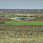 Mit dem Schnellzug durch die Hecke XCVIII