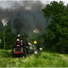 Mit dem Schnellzug durch die Hecke XLI