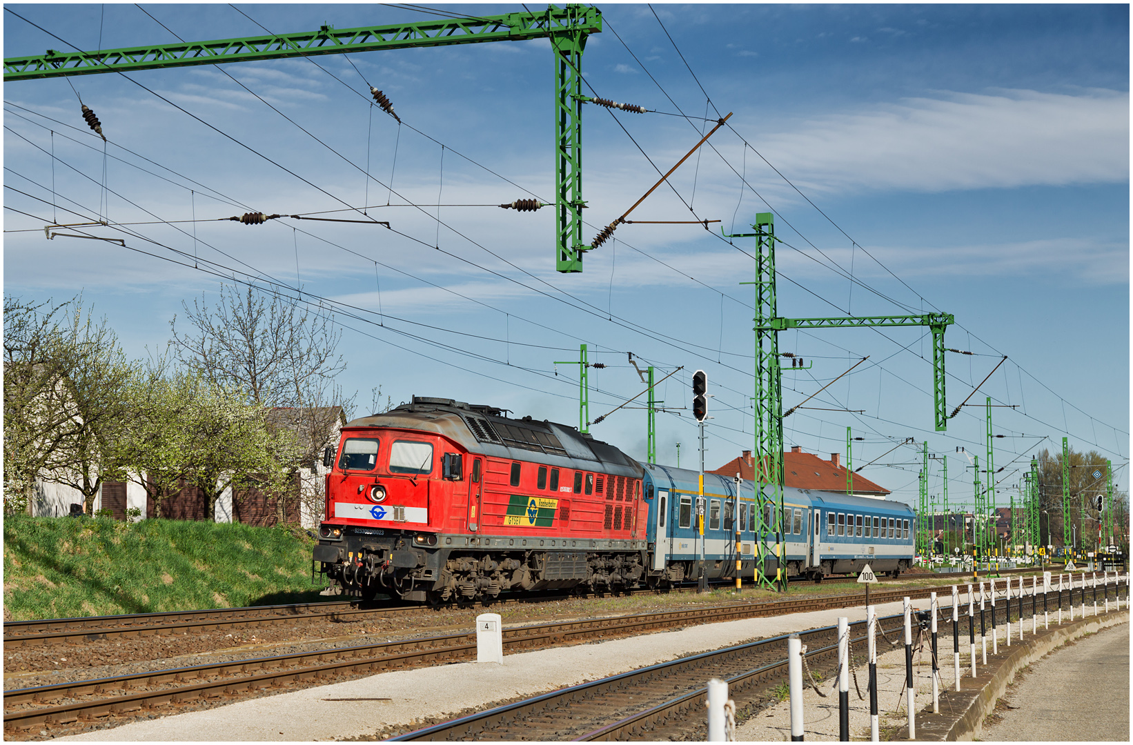 Mit dem Schnellzug durch die Hecke XLVI