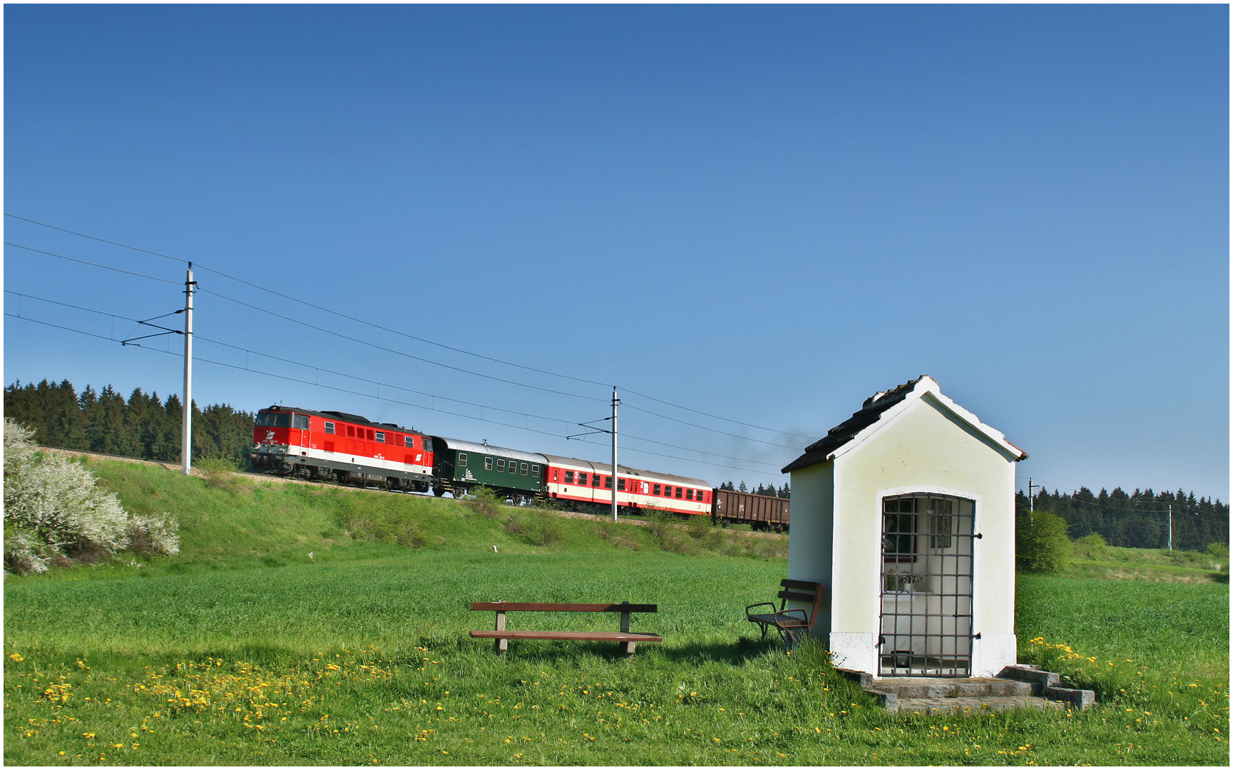 Mit dem Schnellzug durch die Hecke XVIII