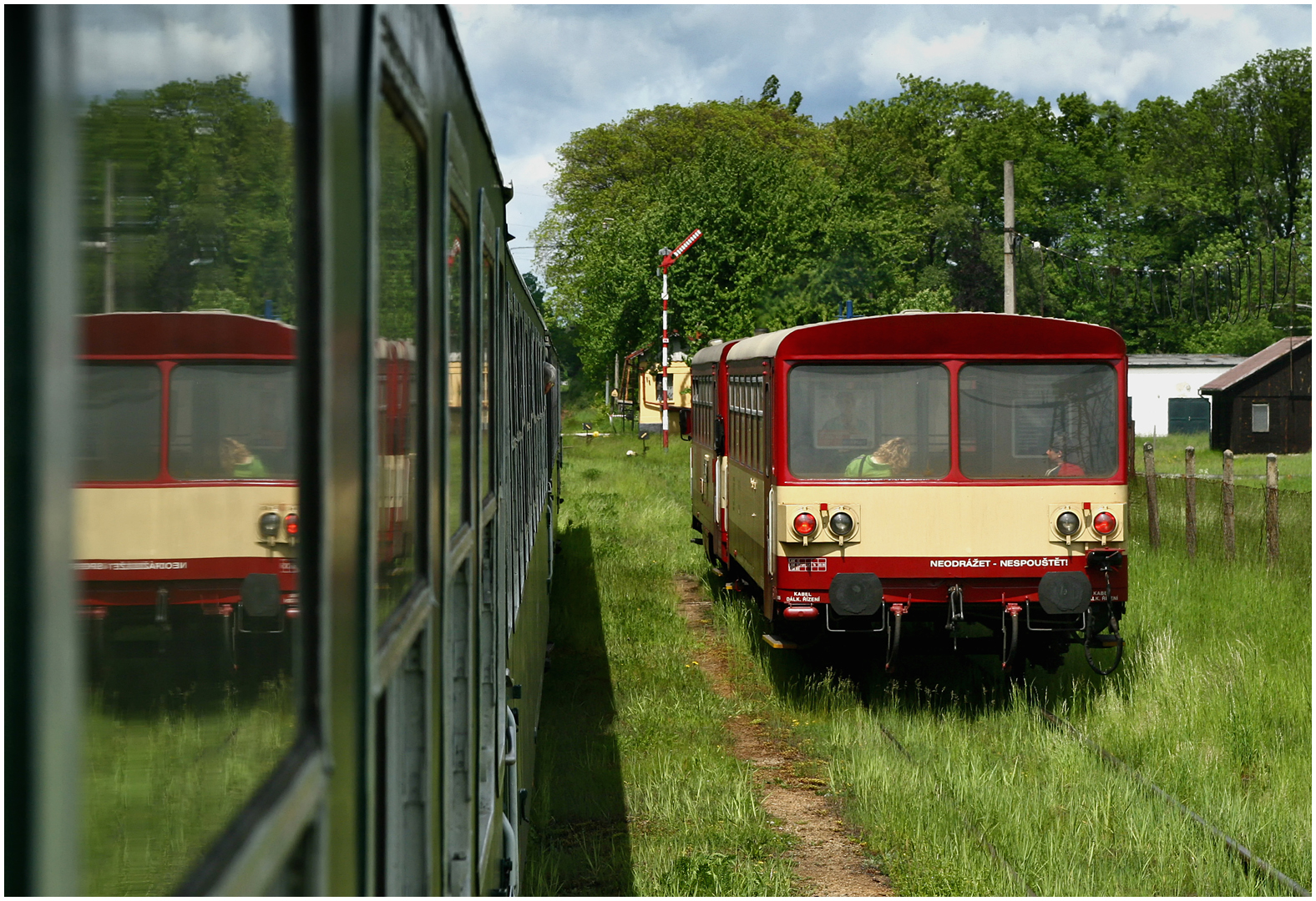 Mit dem Schnellzug durch die Hecke XXVI