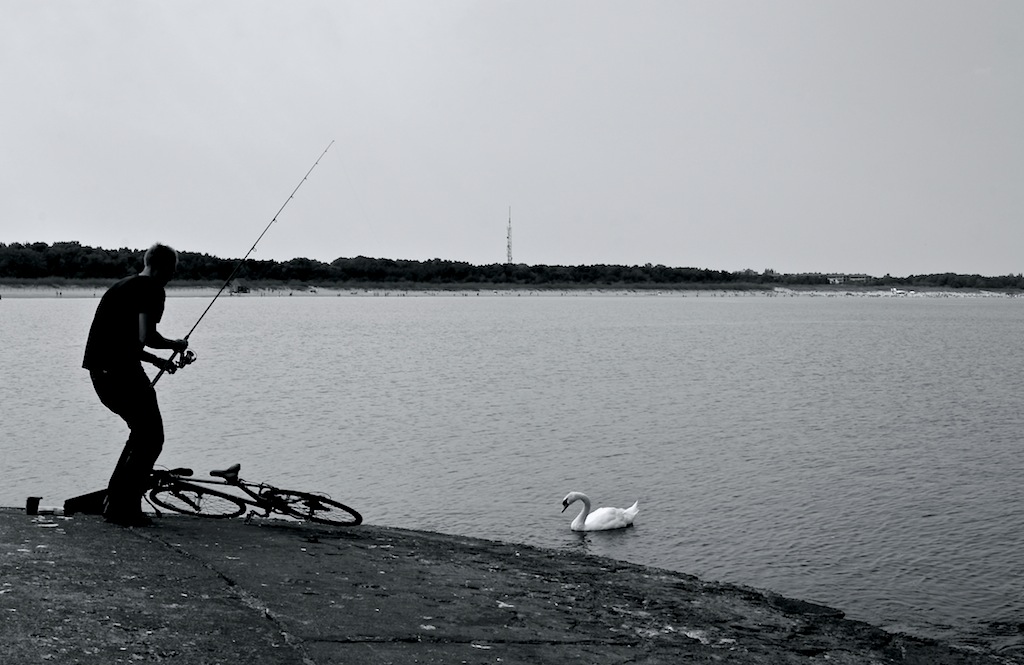 Mit dem Schwan angeln